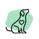 Descubre mascotas